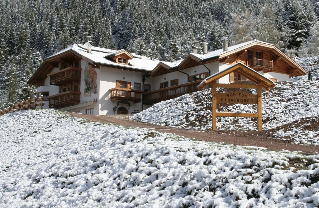 Agritur Fior Di Bosco Hotel Valfloriana Buitenkant foto