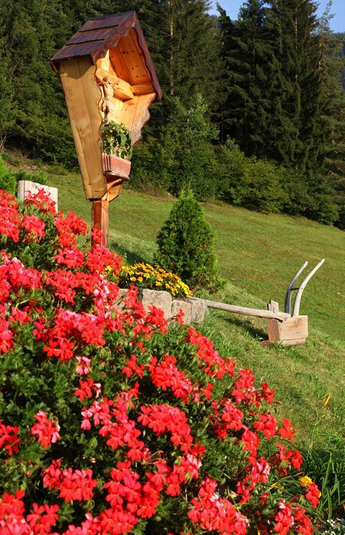 Agritur Fior Di Bosco Hotel Valfloriana Buitenkant foto